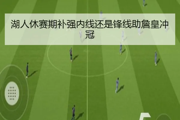湖人休赛期补强内线还是锋线助詹皇冲冠